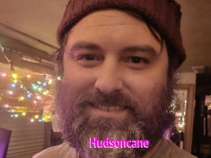 Hudsoncane