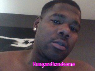 Hungandhandsome