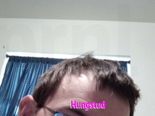 Hungstud