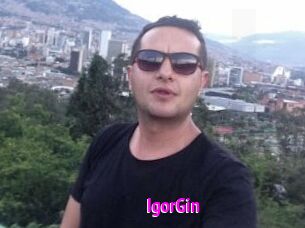 IgorGin