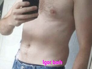 Igor_bash