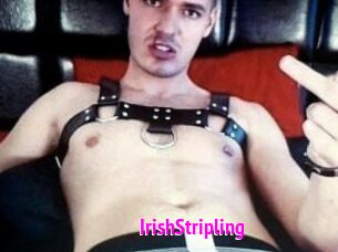 IrishStripling