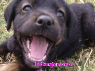 Indianajonestest