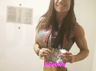 Indigofox