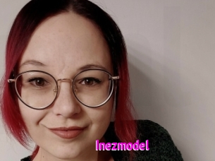 Inezmodel