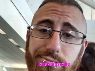 Jakesbigsnake