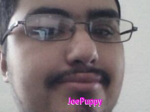 JoePuppy