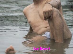 Joe_Novel Porn Loverz