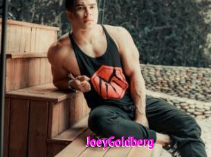 JoeyGoldberg