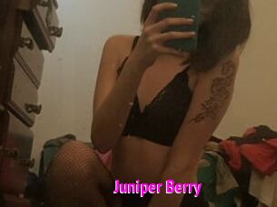Juniper_Berry