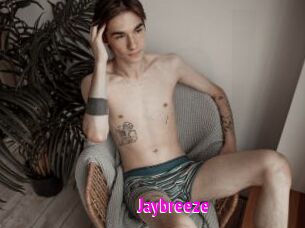 Jaybreeze
