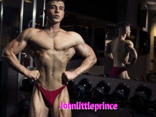 Johnlittleprince