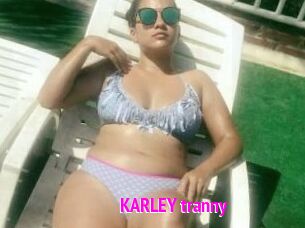 KARLEY_tranny