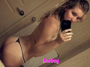 Kaebug