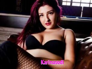 Karinasodi Porn Loverz