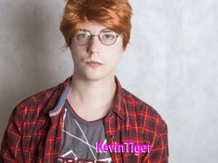 KevinTiger