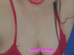 Kamii_brooke