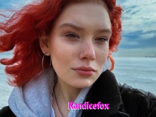 Kandicefox