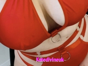 Katedivineuk