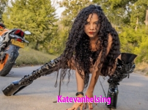 katevanhelsing Porn Loverz