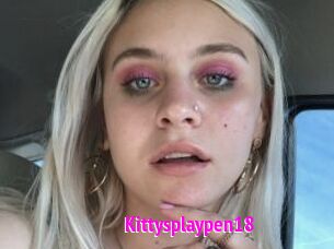 Kittysplaypen18