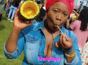 Kiwiginger