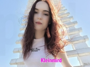Kleinmird