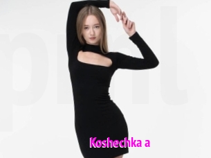 Koshechka_a