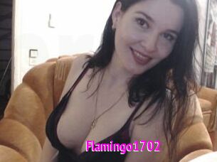 Flamingo1702