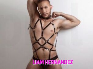 LIAM_HERNANDEZ Porn Loverz