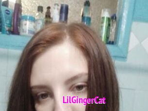 LilGingerCat