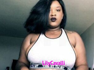 Lily_Cavalli