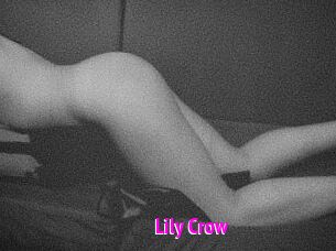 Lily_Crow