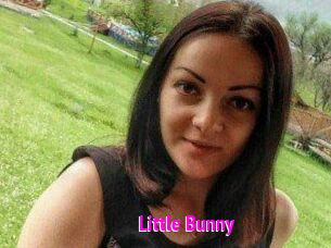 Little_Bunny_