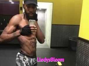 Lledys_Bloom Porn Loverz