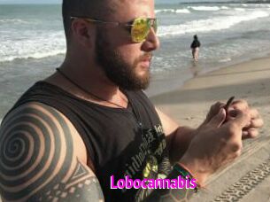 Lobocannabis