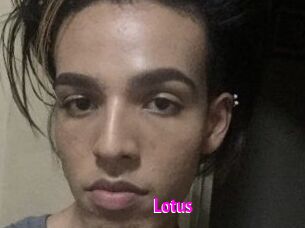 Lotus