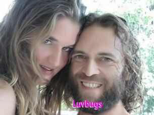 Luvbugs