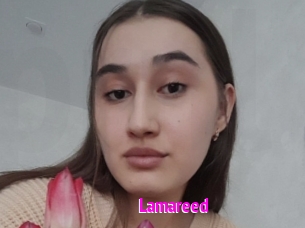 Lamareed