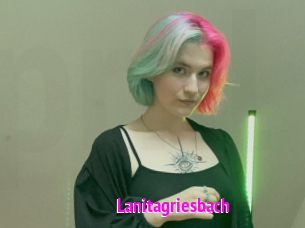 Lanitagriesbach