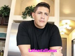Latinostallionus