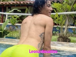 Leonardosantos