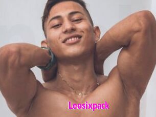 Leosixpack