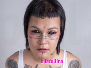 Lilacollina