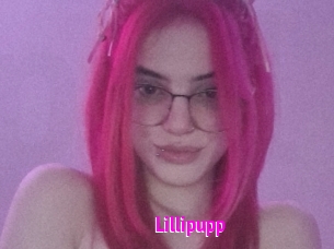 Lillipupp