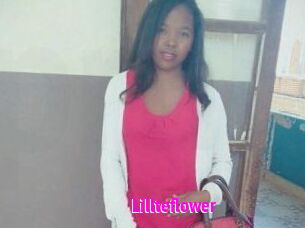 Lillteflower