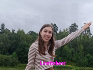 Linettebeer