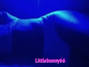 Littlebunny66