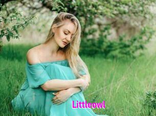 Littleowl