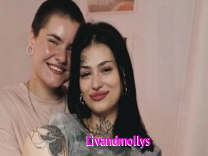 Livandmollys